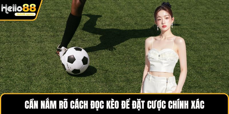Cần nắm rõ cách đọc kèo để đặt cược chính xác