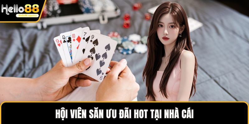 Hội viên săn ưu đãi hot tại nhà cái