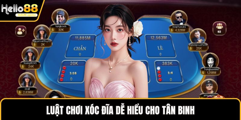 Luật chơi Xóc Đĩa dễ hiểu cho tân binh