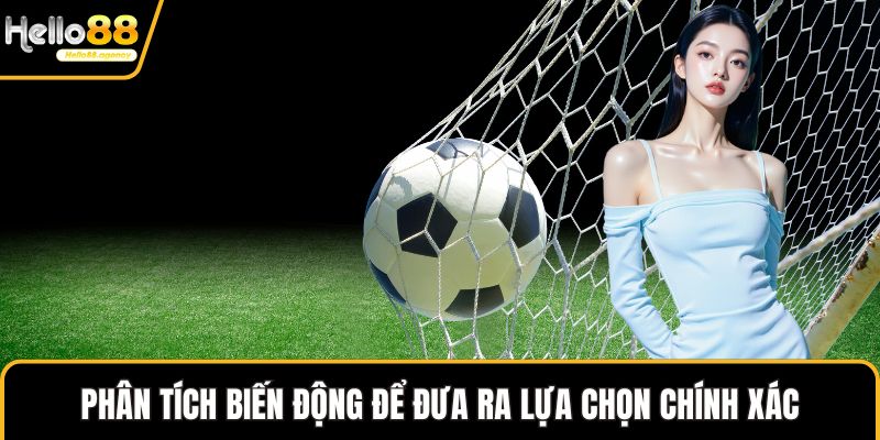 Phân tích biến động để đưa ra lựa chọn chính xác