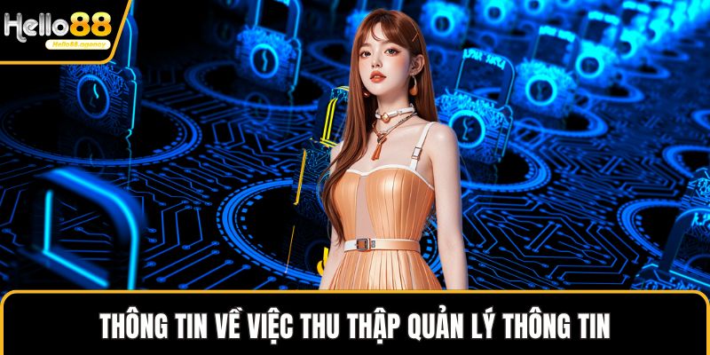 Thông tin về việc thu thập quản lý thông tin