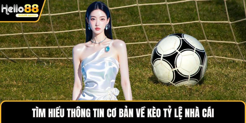 Tìm hiểu thông tin cơ bản về kèo tỷ lệ nhà cái