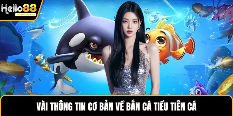 Vài thông tin cơ bản về bắn cá tiểu tiên cá